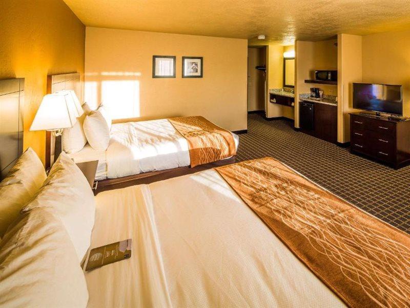 Comfort Inn & Suites Gunnison-Crested Butte エクステリア 写真