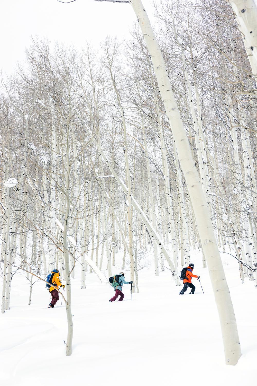 Comfort Inn & Suites Gunnison-Crested Butte エクステリア 写真